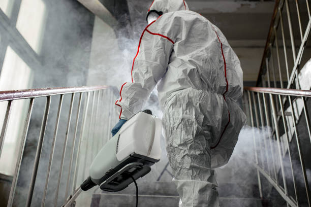 Best Mold Remediation for Healthcare Facilities  in Williamsport, MD